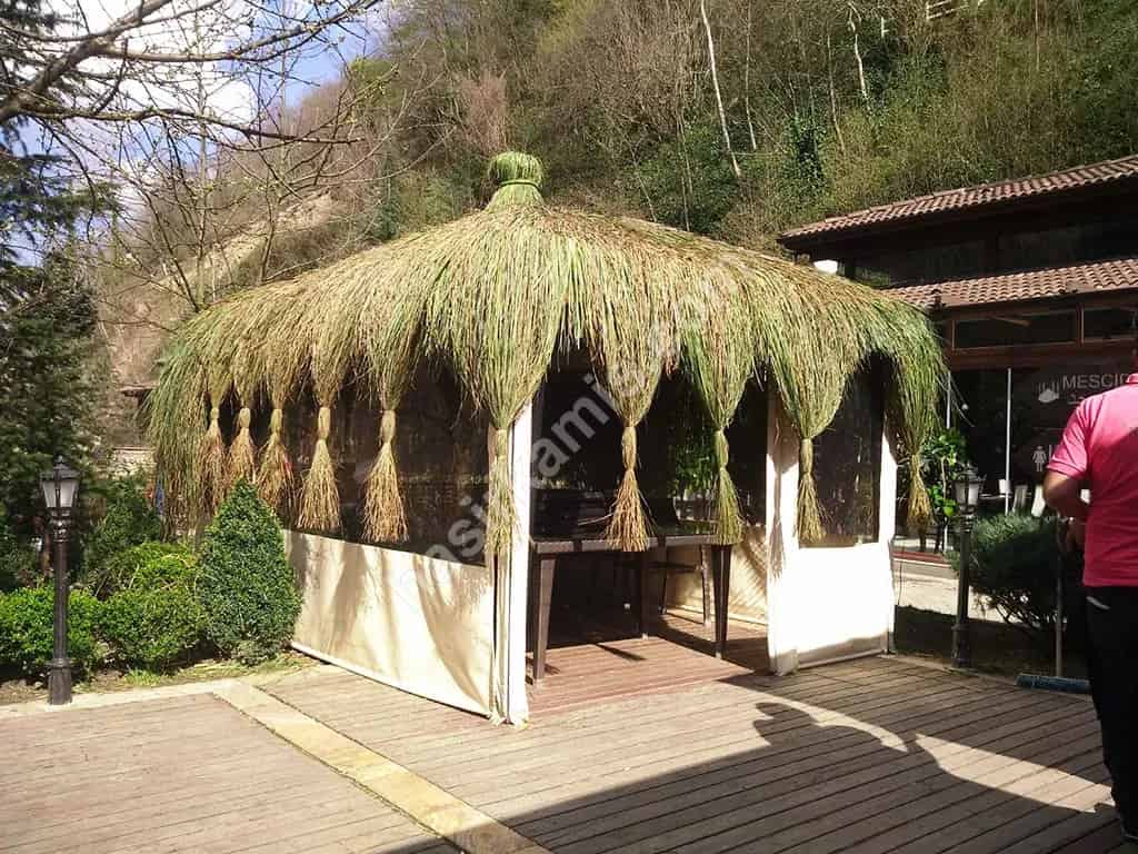 Çin Otu Kaplama