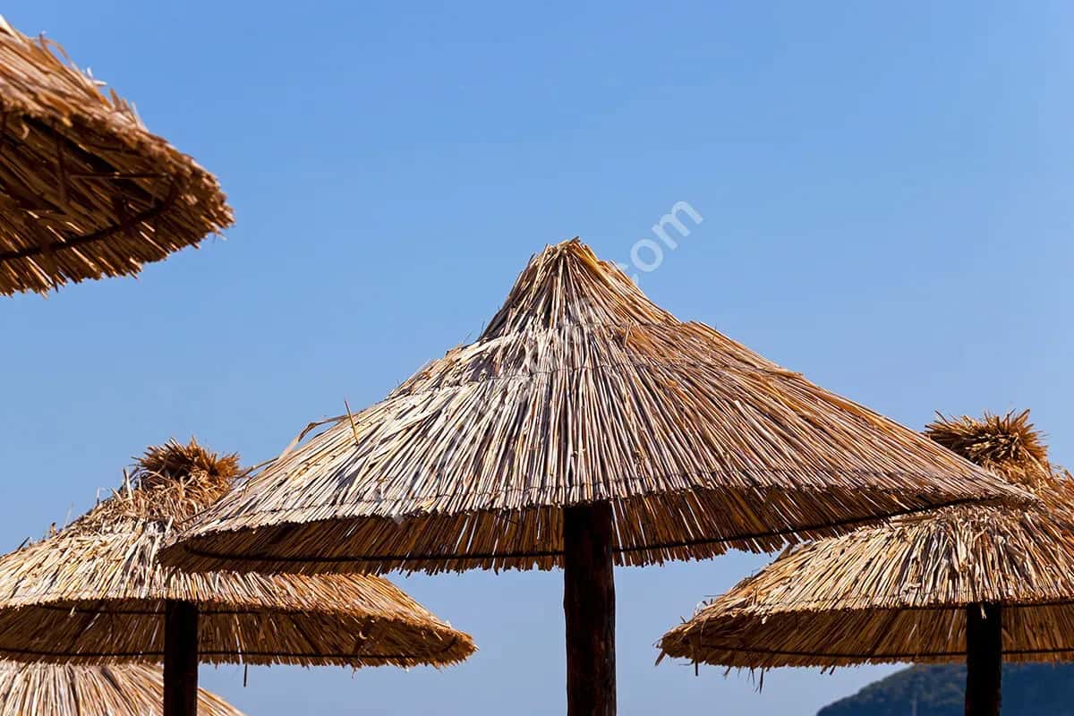 Kıbrıs Hasır Şemsiye
