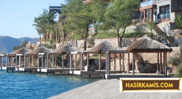 Doğal Kamış Kamelya Çeşitleri