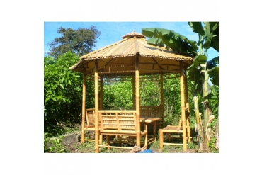 Bambu Kamelyalar